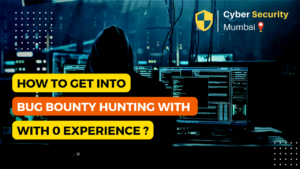 Bug hunting with zero Experience